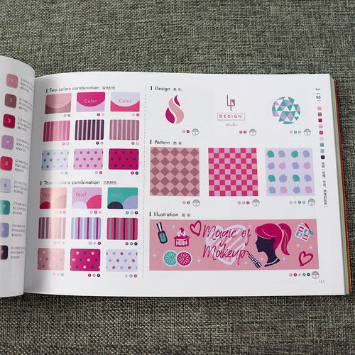 《色彩力》 一本动态时代的创意配色与视觉设计实用图鉴