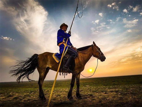 2020新影像 手机镜头下的七月动态与视觉创意